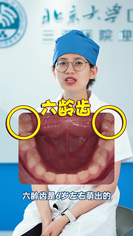 什么是六齡齒？
